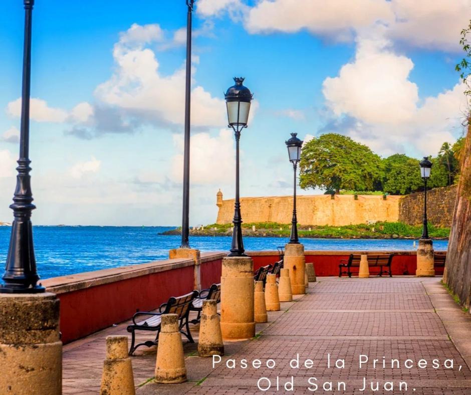 Bee Puerto Rico Charming Urban In Apartamento *